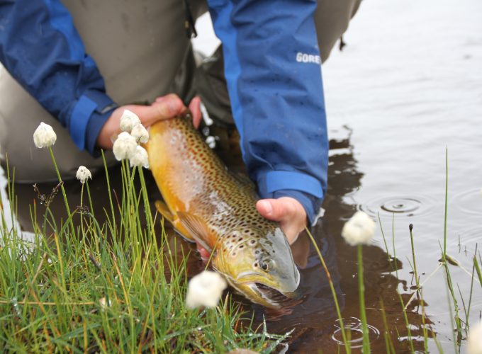 Guided fly fishing at Groven mountain lodge
